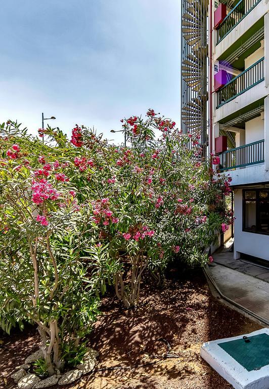 Апартаменты Vina Del Mar Ocean Плая-де-лас-Америкас Экстерьер фото